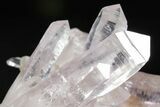 Attractive Amethyst Crystal Cluster - Las Vigas, Mexico #355025-1